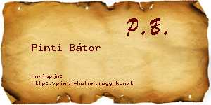 Pinti Bátor névjegykártya